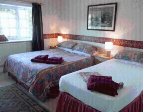 The Cranley Hotel Cranleigh Buitenkant foto